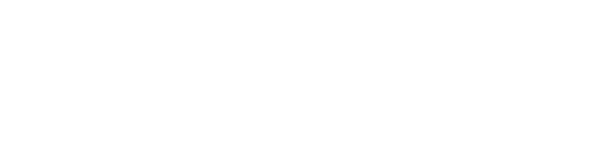 Fronius Logo